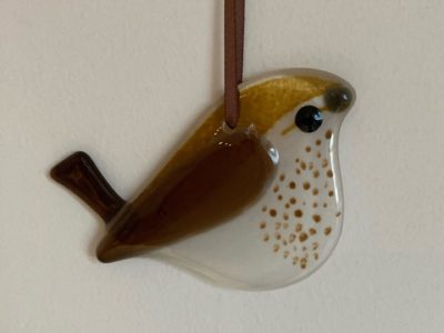 Glass wren