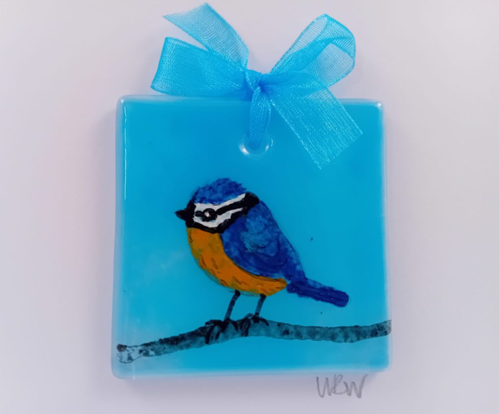 Blue tit on turquoise card