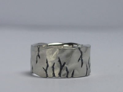 Wide Vertical Canyon Ring