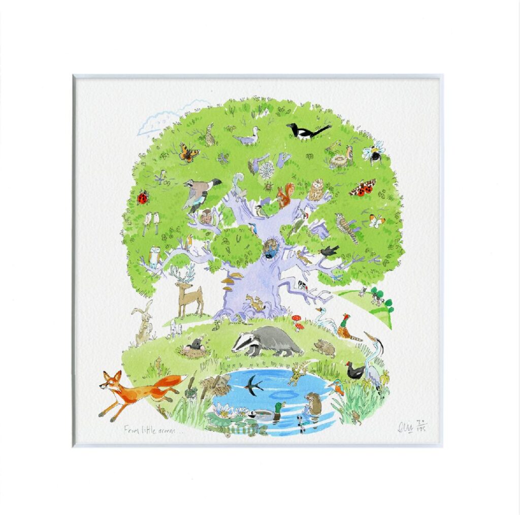 From Little Acorns limited edition print