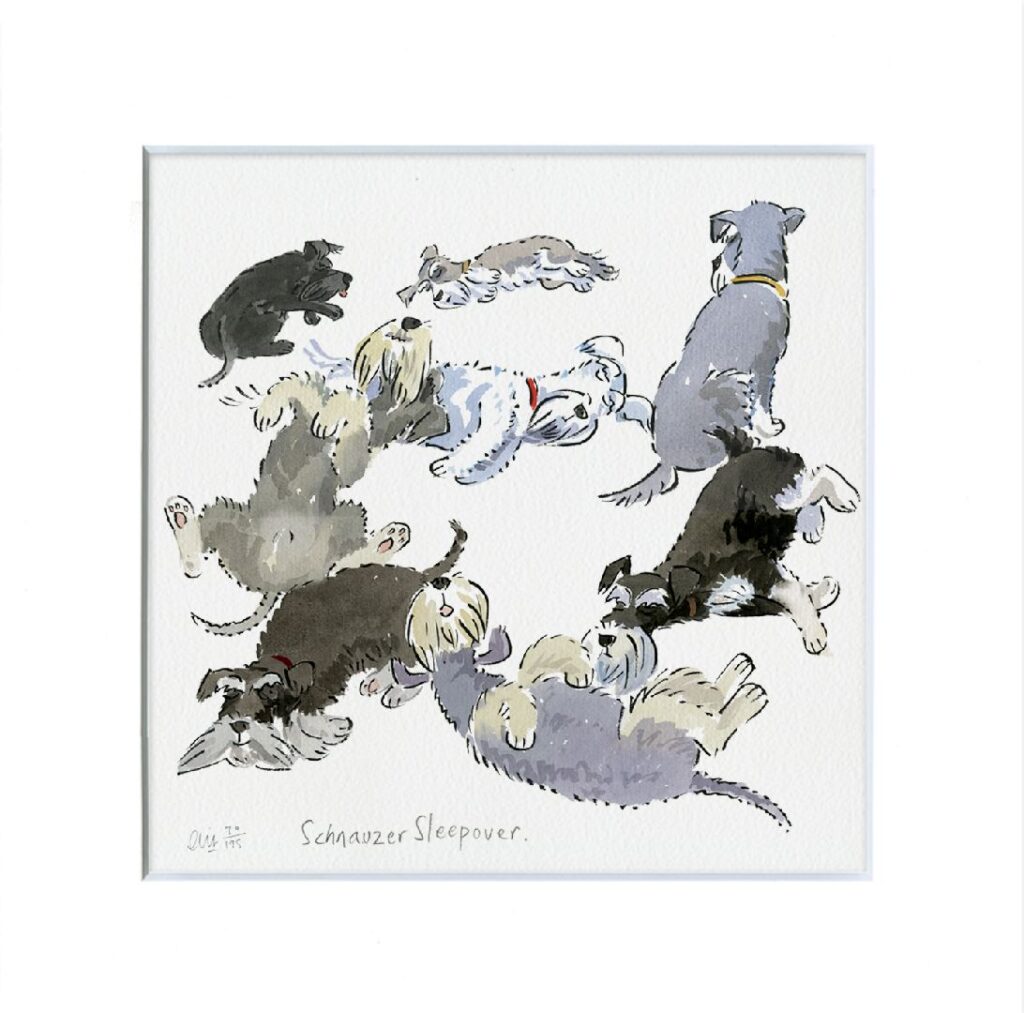 Schnauzer Sleepover limited edition print