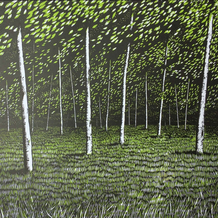 Primavera Birches