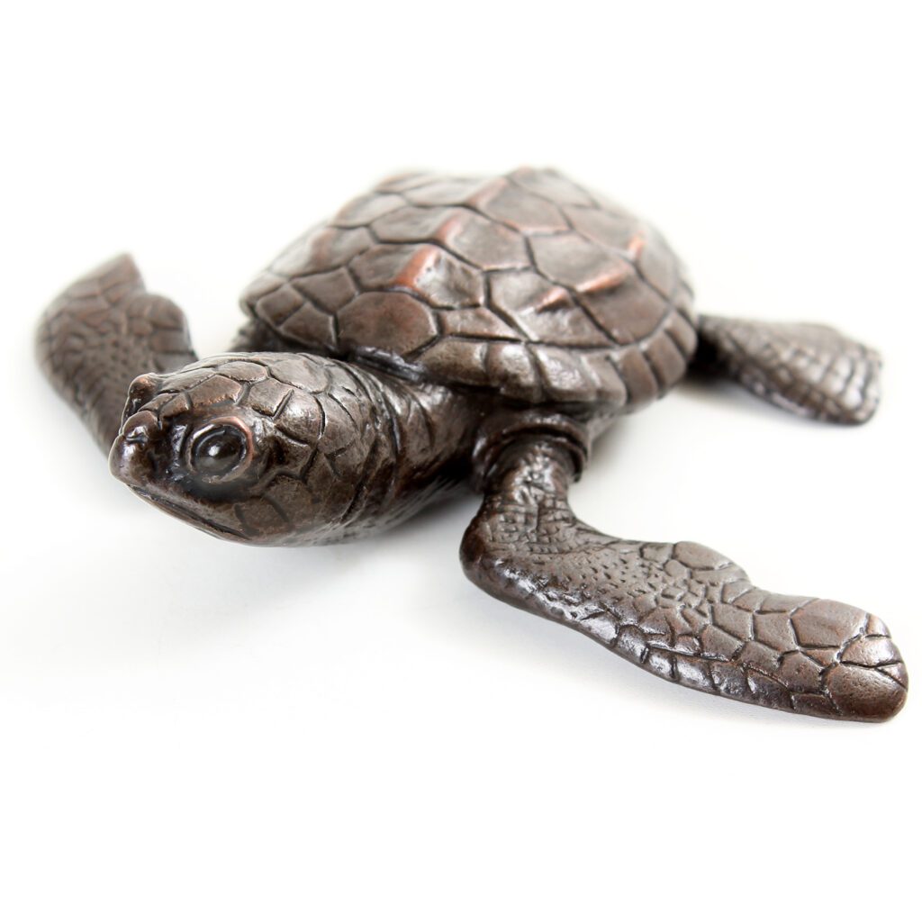 Turtle hatchling in bronze