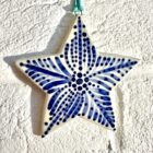 Indigo Starburst