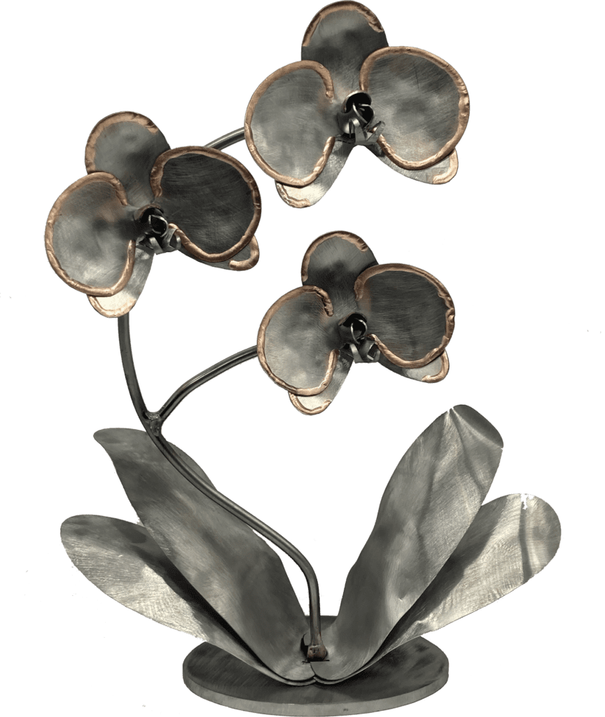 Steel and Bronze Orchid