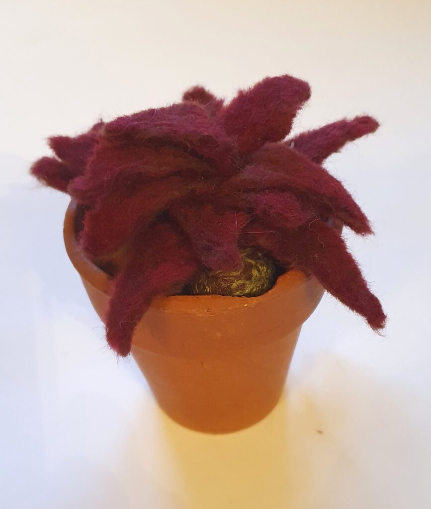 Handmade felt sempervivum in recycled pot