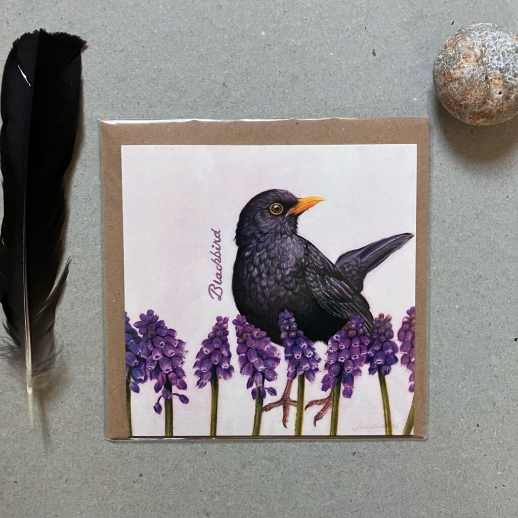 Black Bird