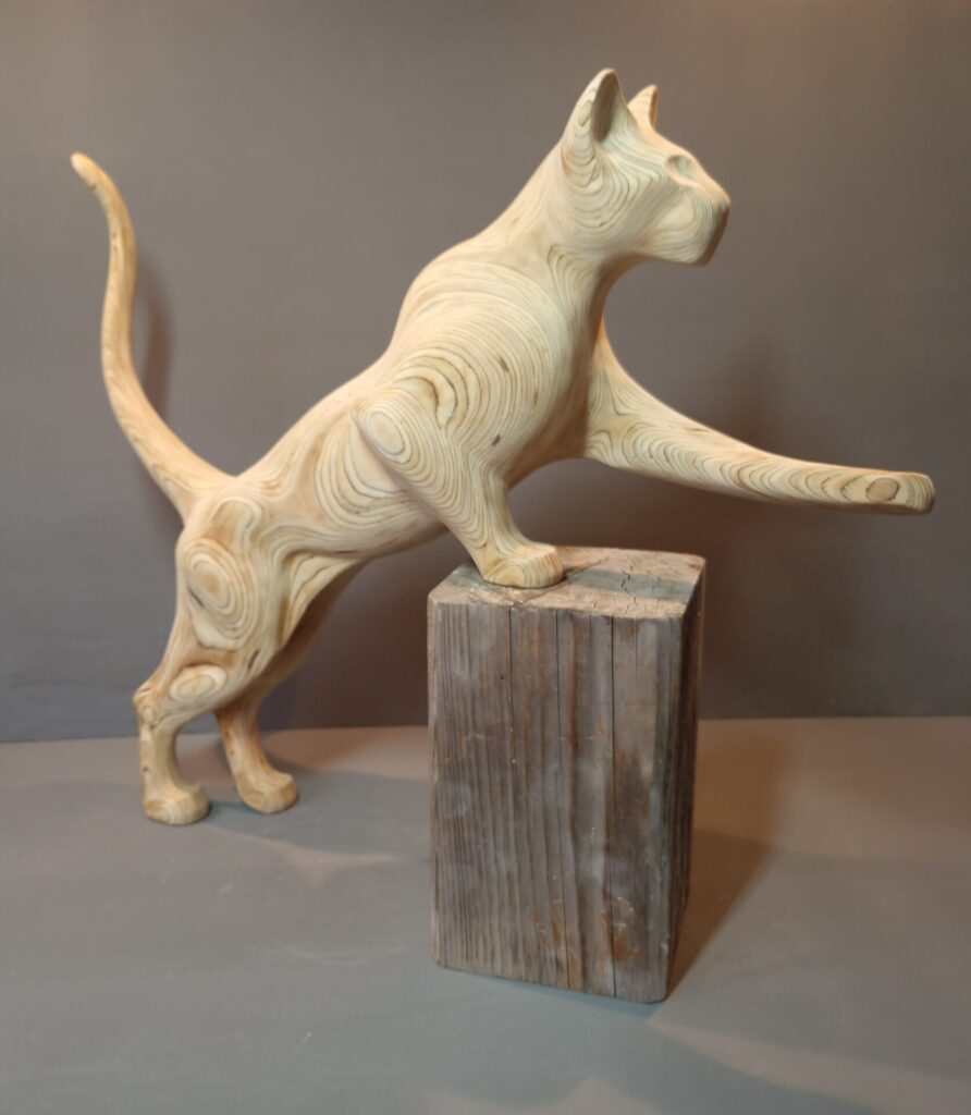 Domestic Cat