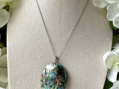 Paua Shell