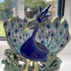 colourful peacock