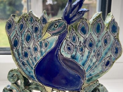 colourful peacock