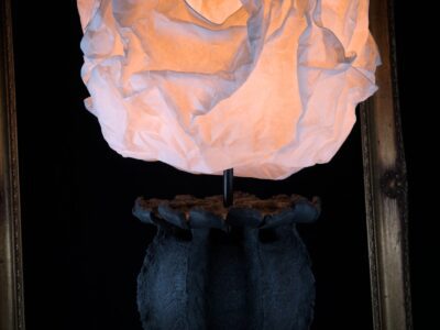 Black poppy seed head lamp