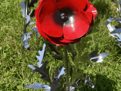 outdoor metal poppy