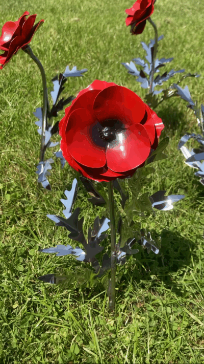outdoor metal poppy