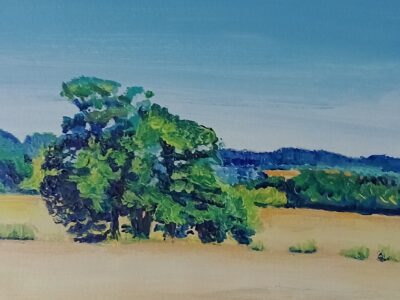 My Kingdom For a Horse