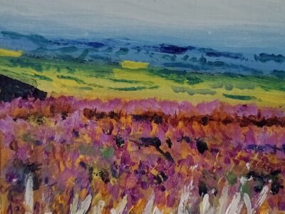 View From Osmotherly