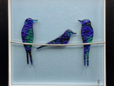 Dichroic Swallows (on wire) x3, in frame