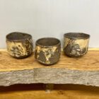 Tree Chawan By Sonya Wilkins Ceramics Trio